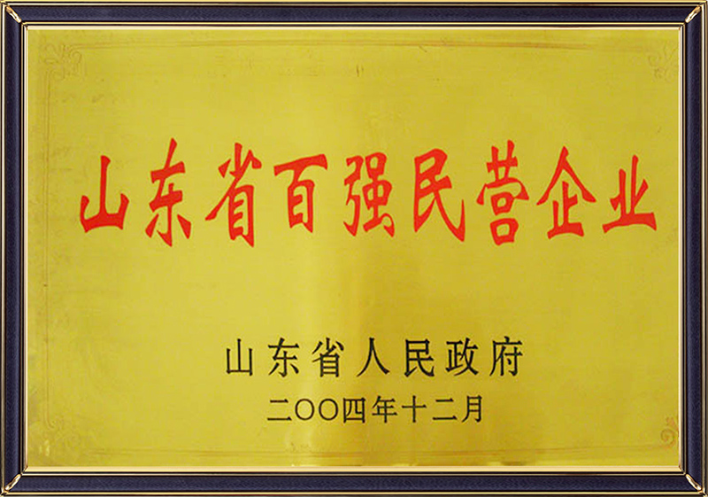 山東省百?gòu)?qiáng)民營(yíng)企業(yè)